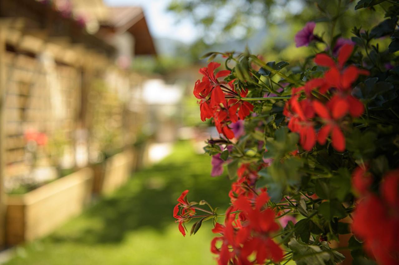 Apartament Alpen-Nest Grossarl Zewnętrze zdjęcie